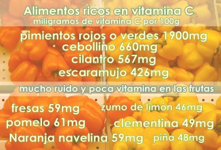 Alimentos ricos en vitamina c