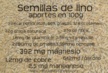 Semillas de lino informacion nutricional