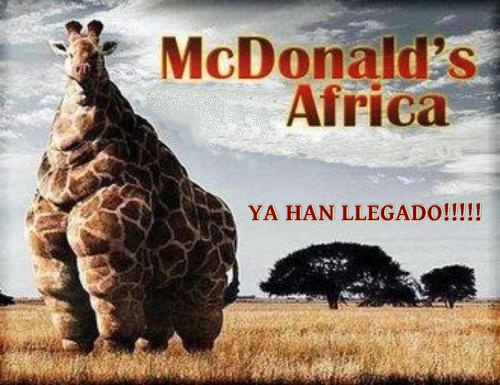 McDonaldsAfrica