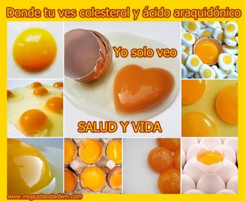 huevos colesterol araquidonico