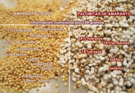 informacion nutricional amaranto
