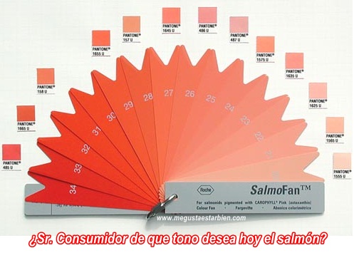 tintes para salmon