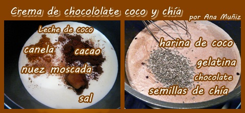 receta crema de chocolate coco y chía