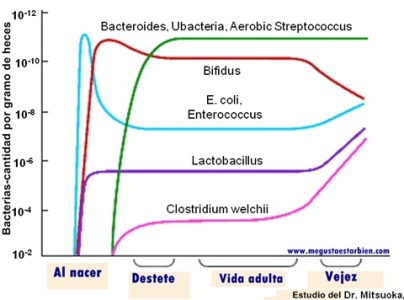 desarrollo de microbiota