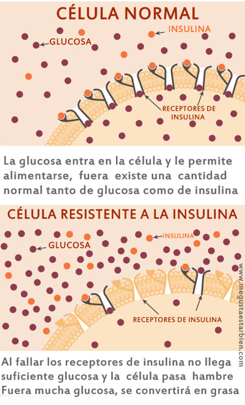 Resistencia a la insulina