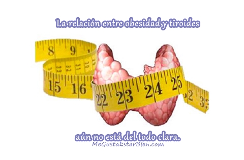 tiroides-y-obesidad
